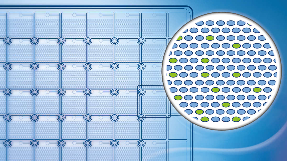 数字 PCR | dPCR 技术 | QIAGEN